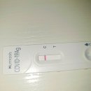 석사성모의원 이미지