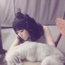 강아지랑나랑 이미지