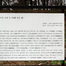 기준선생묘 티스토리