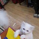 백합주단 - 익산시 중앙로3길 27 | 백합주단