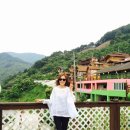 섬진강 솔밭이 보이는 풍경 이미지