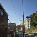 피자헛 군산본점 | 부산 꽉 찬 1박2일 여행(닥밭골모노레일,더베이101야경,부산근현대역사관,아난티코브,국립수산과학관...
