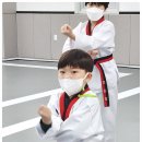 지성태권도장 이미지