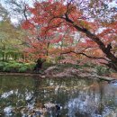 시티원부동산중개 이미지