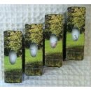 탑플라이트 이미지