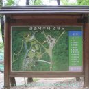 간촌1 Daum카페