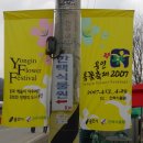 용인 봄꽃축제 2007 이미지