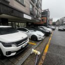 반려인학교 | 화성 애견훈련 반려인학교