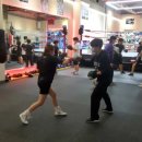 하이복싱체육관 이미지