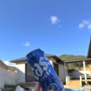 병아리펜션 | 청주 근교 독채 펜션 천안 풀빌라 “사이집” 내돈내산 솔직후기