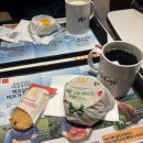 해녀언니네 | 25년 쉰두 번째 주