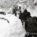 내기마을진입로 이미지