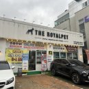 더로얄펫