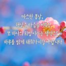 봄날 이미지