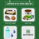 송도 클로버동물병원 이미지