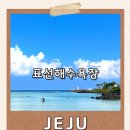 표선면 표선리 777-10 | 제주 표선해수욕장 여름 물놀이 완전정복! 탈의실 &amp; 샤워장 - 혼자여행자의 힐링 후기