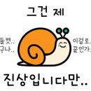 커먼머스크