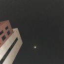 그린플라워앤가든 - 서구 둔지로 60 | 그린플라워앤가든