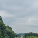 조록나무 뿌리 형상물 | [제주 제주시] 제주돌문화공원 설문대할망 전시관, 하늘연못,오백장군군상