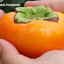 민재농장 이미지