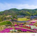 화랑마을-4 티스토리