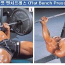 위캔짐 이미지