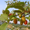 웰빙농장 이미지