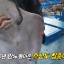 흑산도홍어 이미지