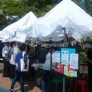 로뎀재가노인복지센터 이미지