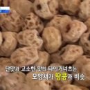 타이거푸드