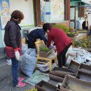 새터말농장 이미지