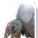 조광조유적지 공중화장실 | [터키/파묵칼레] 유네스코 세계문화유산 파묵칼레 (히에라 폴리스)에서 해 볼 만한 추천 투어 TOP 4