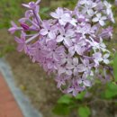 곤양축구장 이미지