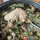 전남 곡성 맛집 | 광주 근교 능이 오리백숙 &#34;송다원&#34;