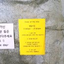 그날의 온도 이미지