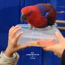 대관령 가축병원 이미지