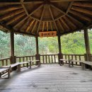 대관령마루길 이미지