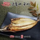 통큰젓갈 | 속초 생선구이 신피디통큰 생선구이 솔직후기