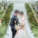 마벨스냅 이미지