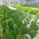 노암4리 이미지