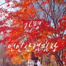 연인산다목적캠핑장 | 가평캠핑장 추천 : 캠핑초보도 OK! 가평연인산다목적캠핑장에서 힐링 가득한 캠핑