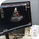 송파원동물병원 | 송파원 동물병원 강아지 심장병 애견진료 후기