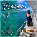 시드니 근교투어 추천, 무한투어 포트스테판 돌핀크루즈 후기