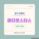 아티로스터스 네이버블로그