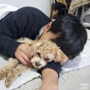 스니피드(SNIFFEED) 네이버블로그