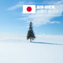 온정카서비스 | 비에이 택시 없이, 소규모 vs 버스투어 예약, 일정 총정리