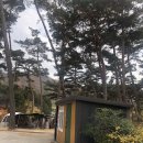 물댄동산펜션A 이미지