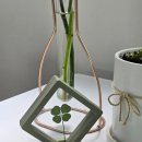 포유마켓 이미지