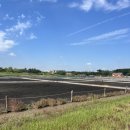 생태배움길 | 숲지도사님과 함께하는 시흥시 늠내길 트레킹 #갯골생태공원