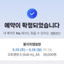 몽리치 이미지